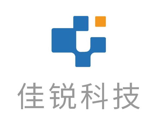 上海佳锐信息科技股份