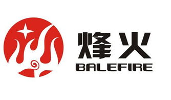 文化科技类电子设备高新技术公司取大气的中英文名字